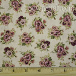 Pretty in Pink Pansy - Marcus Brothers