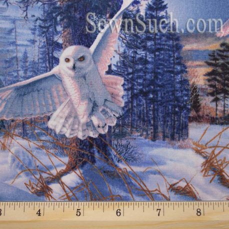 Silent Flight Denim Owl Scenic - Quilting Treasures (23595-W)