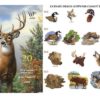 Dakota Collectibles North American Wildlife #2 (LS0404)
